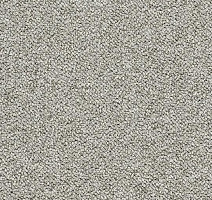 Ковровая плитка Tessera Chroma 3602 Chanterelle фото 1 | FLOORDEALER